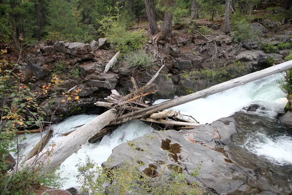 Roque River Waterfall Oregon Usa — стоковое фото