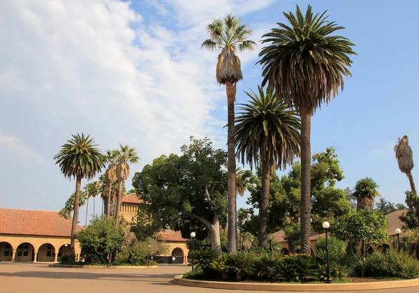 美国斯坦福大学 — 图库照片