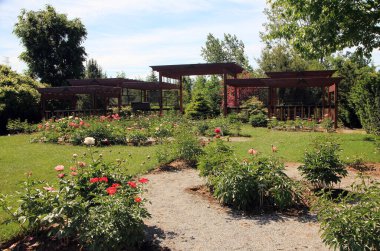 Normal parktaki yaz manzarası