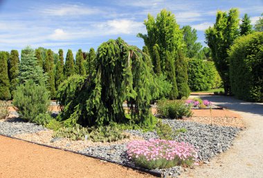 Normal parktaki yaz manzarası