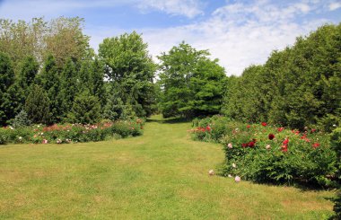 Normal parktaki yaz manzarası