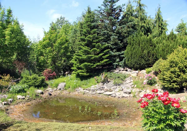 Summer Landscape Pond — Stock Photo, Image