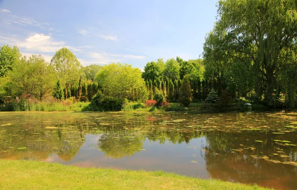 Paisagem Verão Parque Regular — Fotografia de Stock