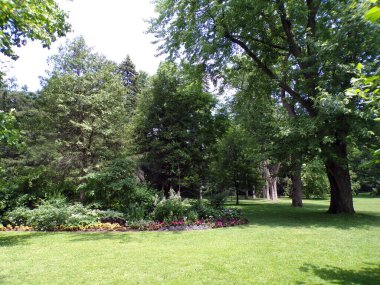 Normal parkın yaz manzarası