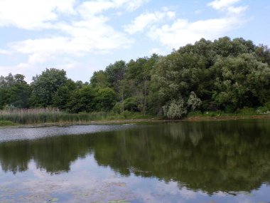 Göl manzaralı Sommer