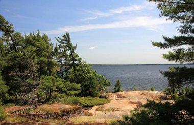 Göl ve ağaçlarla dolu kuzey manzarası