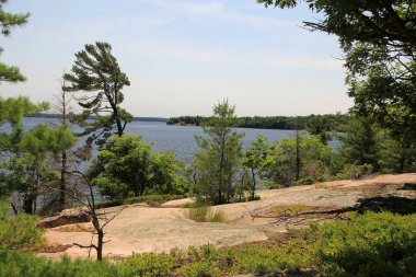 Göl ve ağaçlarla dolu kuzey manzarası