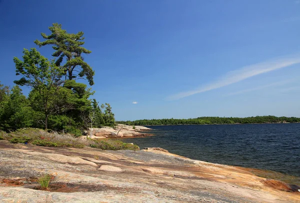 Nordlandschaft Mit See Und Bäumen — Stockfoto