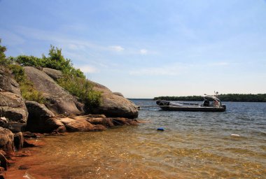 Göl ve ağaçlarla dolu kuzey manzarası