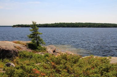 Göl ve ağaçlarla dolu kuzey manzarası