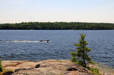 Göl ve ağaçlarla dolu kuzey manzarası