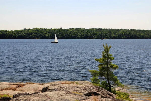 North Landscape Lake Trees — Stock fotografie