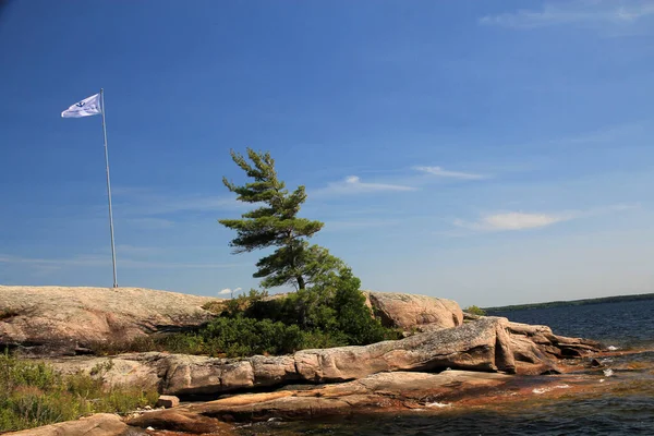 Nordlandschaft Mit See Und Baum — Stockfoto