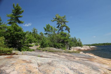 Göl ve ağaçlarla dolu kuzey manzarası