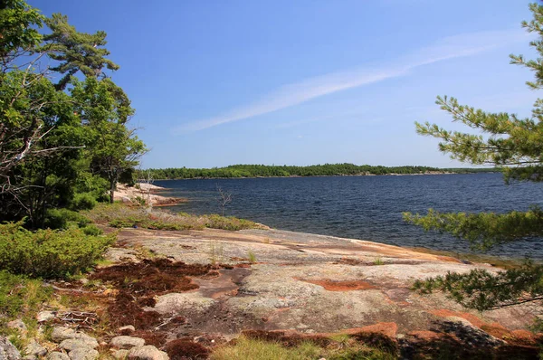 Nordlandschaft Mit See Und Bäumen — Stockfoto