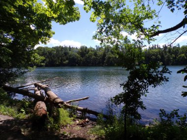 Göl ve ormanlı yaz manzarası