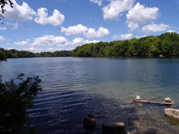 Paisagem Verão Com Lago Floresta — Fotografia de Stock