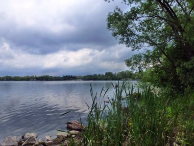 Summer landscape with lake and treest