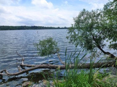 Göl ve ağaçlarla dolu yaz manzarası
