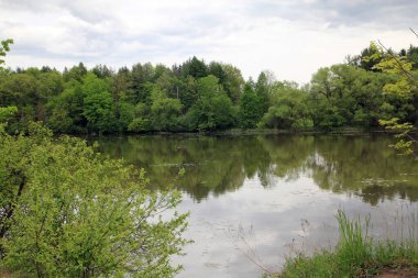 Nehir ve ormanlı yaz manzarası