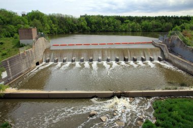 Nehir ve ormanla kaplı yaz manzarası