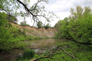 Nehir ve ağaçlarla dolu yaz manzarası