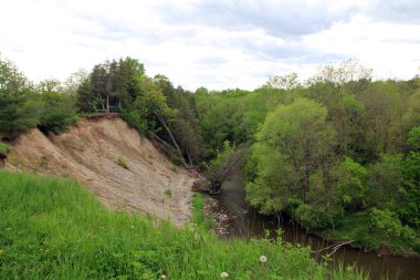 Nehir ve ormanlı yaz manzarası