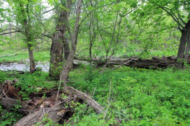 Fırtına üstüne fırtına.