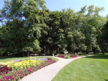 Summer landscape of regular park with trail