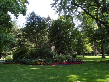 Normal parkın yaz manzarası