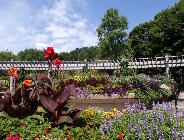 普通の公園の夏の風景 — ストック写真