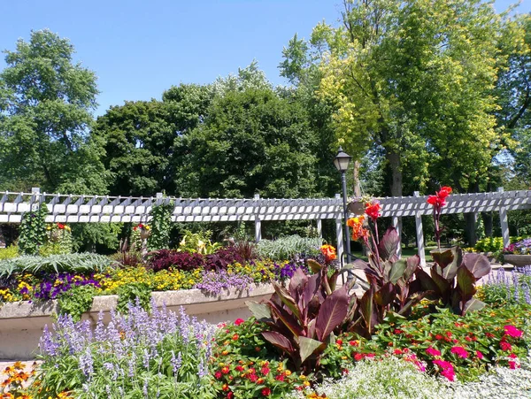 Summer Landscape Regular Park — Stock Photo, Image