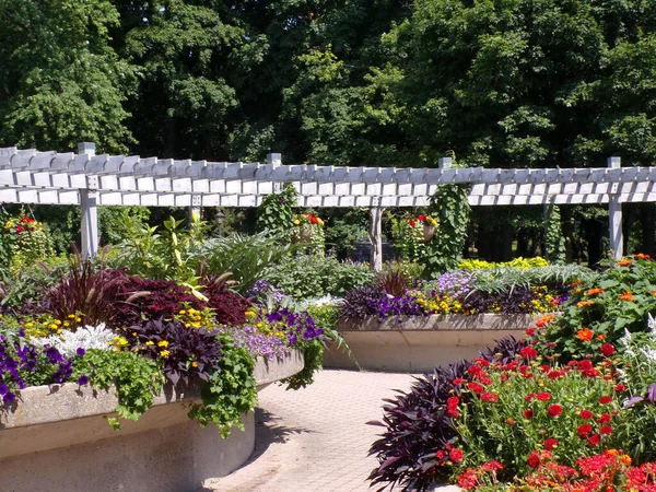 Summer Landscape Regular Park — Stock Photo, Image