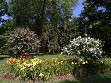 Normal parkın yaz manzarası