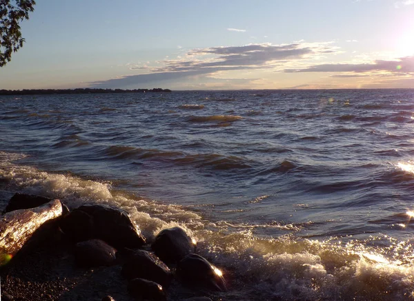 Säännöllisen Puiston Kesämaisema — kuvapankkivalokuva