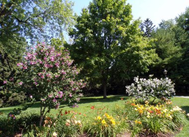 Summer landscape of regular park with blooming trees