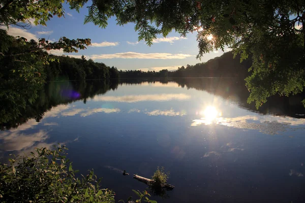 Landscape Quebec Canada Lake Forest — 图库照片