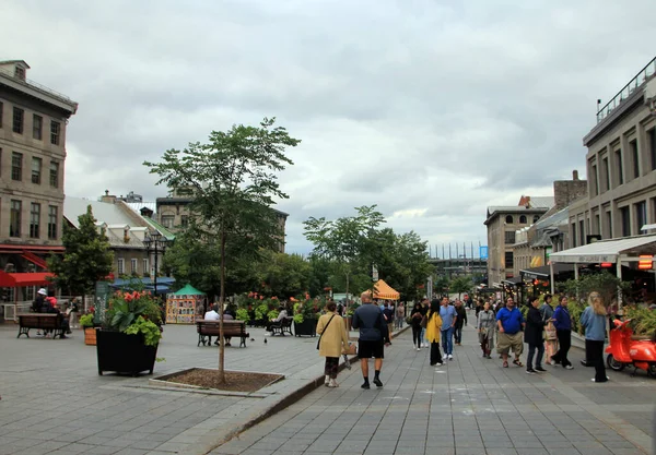 City Landscape Montreal Canada — Stock Photo, Image