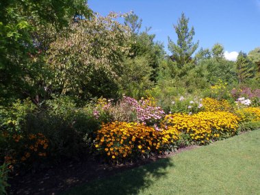 Normal parkın yaz manzarası