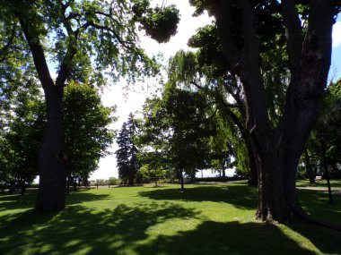 Normal parkın yaz manzarası