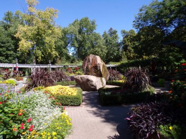 Normal parkın yaz manzarası