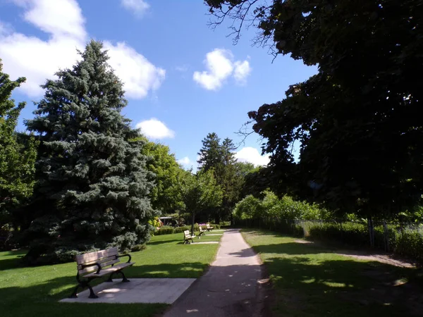 Sommerlandschaft Des Regulären Parks — Stockfoto