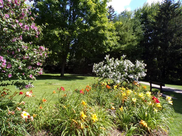 Summer Landscape Regular Park — Stock Photo, Image