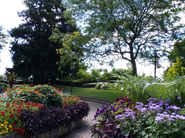 Paesaggio Estivo Parco Regolare — Foto Stock