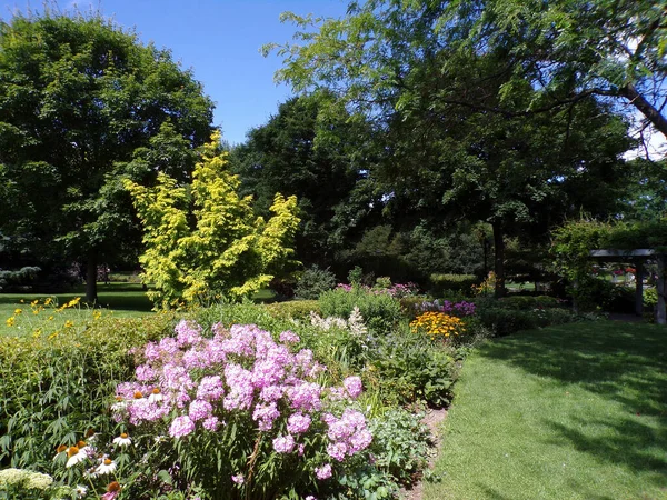 Sommar Landskap Regelbunden Park — Stockfoto