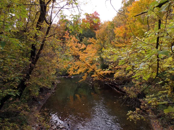 カラフルな木々と秋の風景 — ストック写真