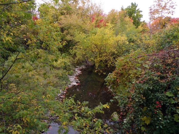 Jesienny Krajobraz Kolorowymi Drzewami Potokiem — Zdjęcie stockowe