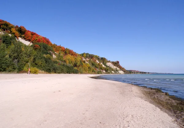Herbstlandschaft Mit Bunten Bäumen Strand Des Sees — Stockfoto