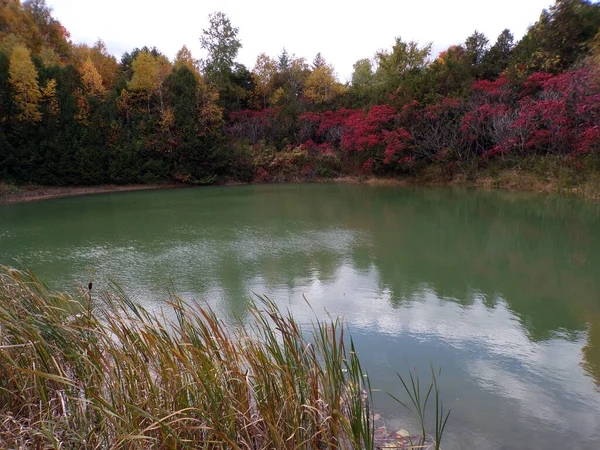 Herbstlandschaft Mit Teich Und Bunten Bäumen — Stockfoto
