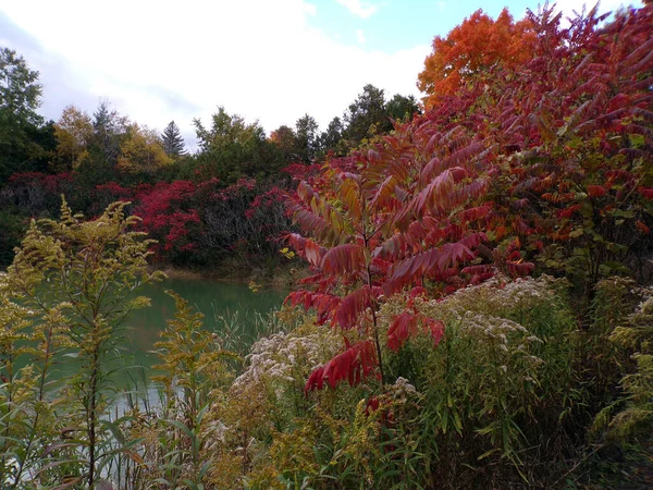 Fall Landscape Colorful Trees — Stock Photo, Image